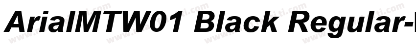 ArialMTW01 Black Regular字体转换